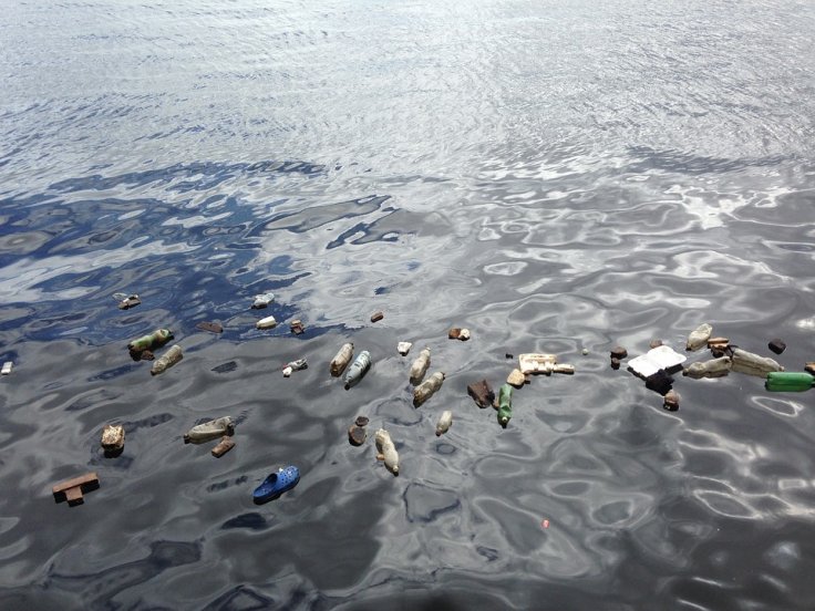 Plastic pollution