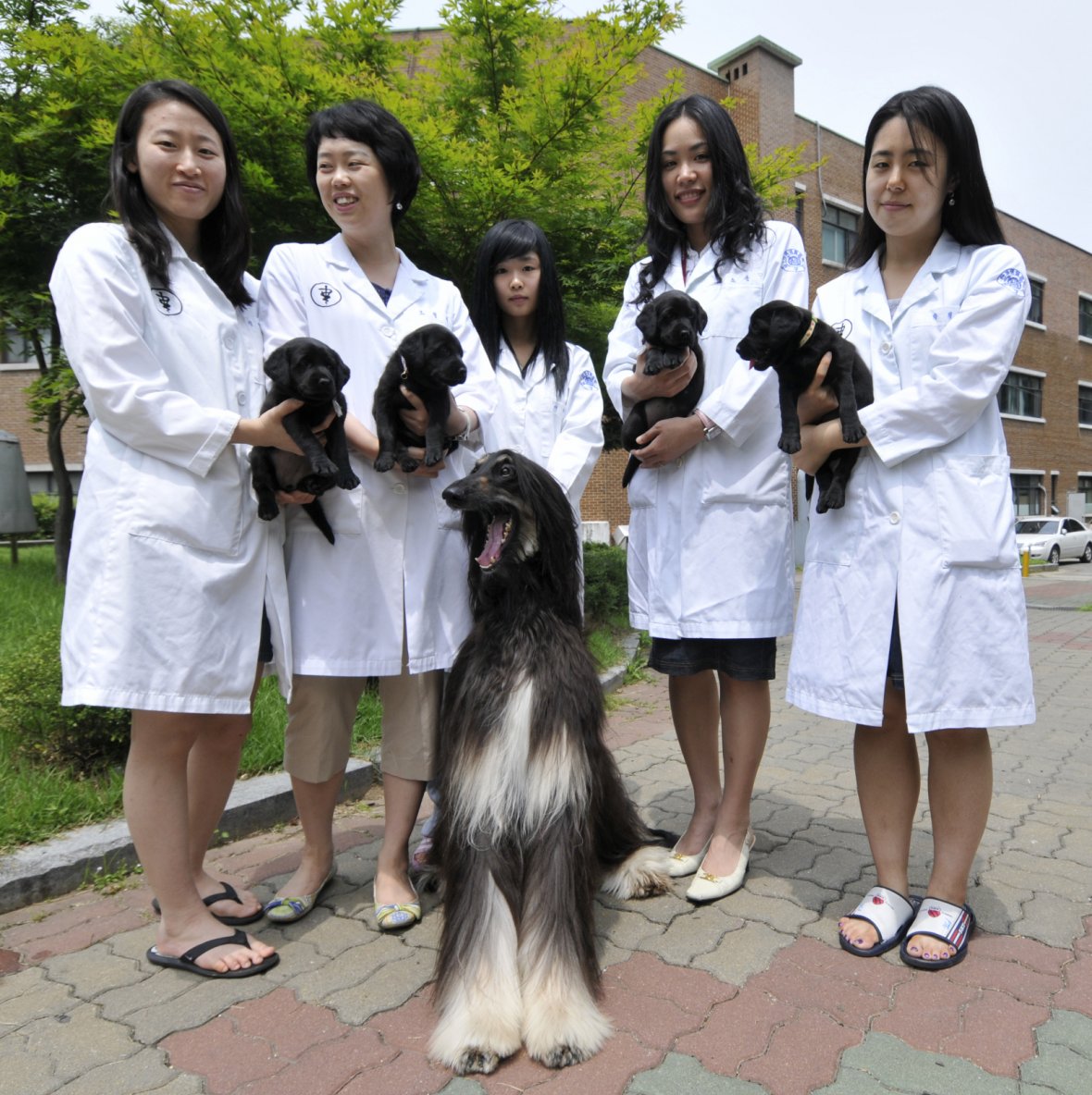 four cloned puppies pose for a photograph with researchers at Seoul National University'