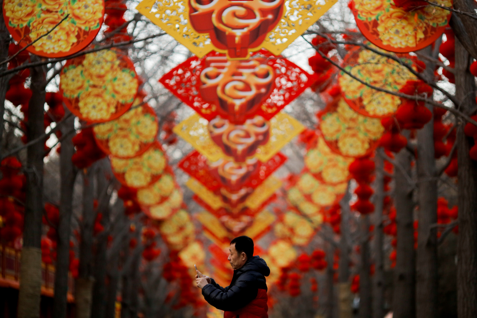 chinese lunar year yoy yoydeng china