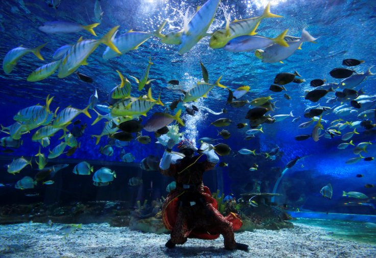 Manila, PhilippinesA professional diver wears an underwater Prosperity God costume