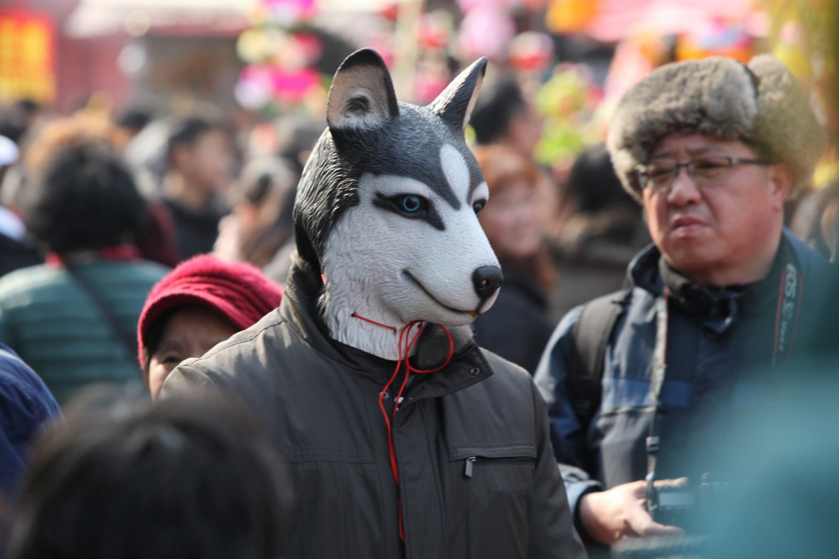 A man wearing a dog mask visits Confucian Temple as a celebration for Chinese Lunar New Year of the Dog