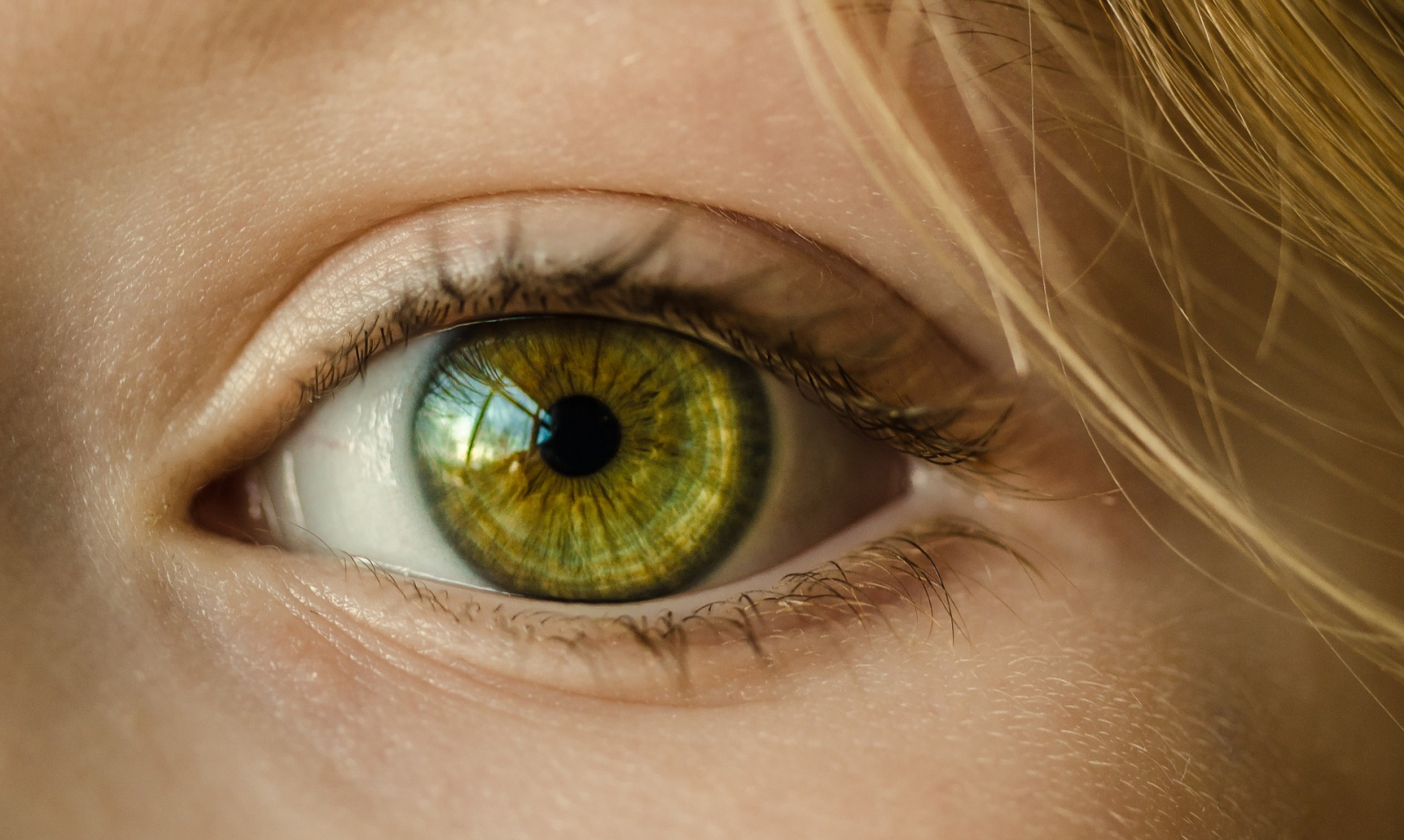 Artificial eye to help correct blurry images