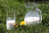 Grass milk