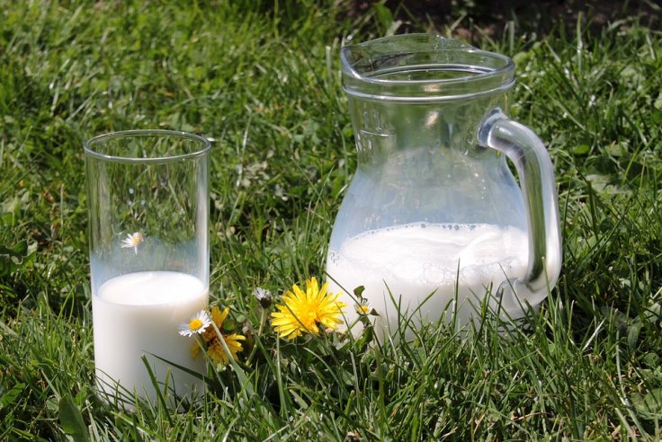 Grass milk