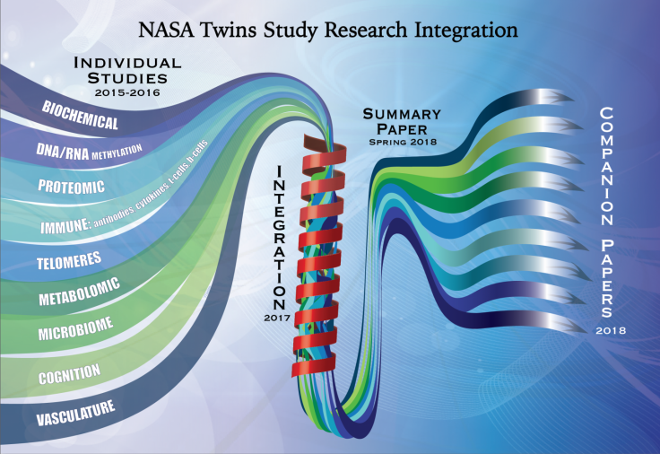 Graphic illustration of the path the individual Twins Study research takes from research to integration to one summary paper to several companion papers.