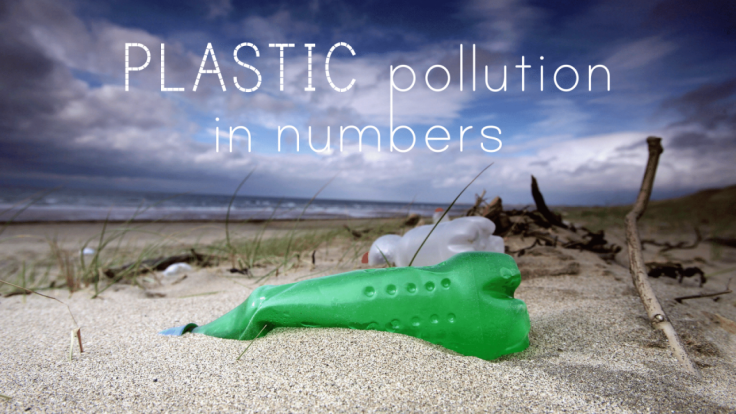 how-plastic-waste-is-killing-the-oceans