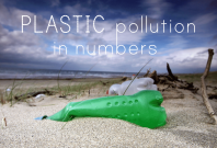 how-plastic-waste-is-killing-the-oceans