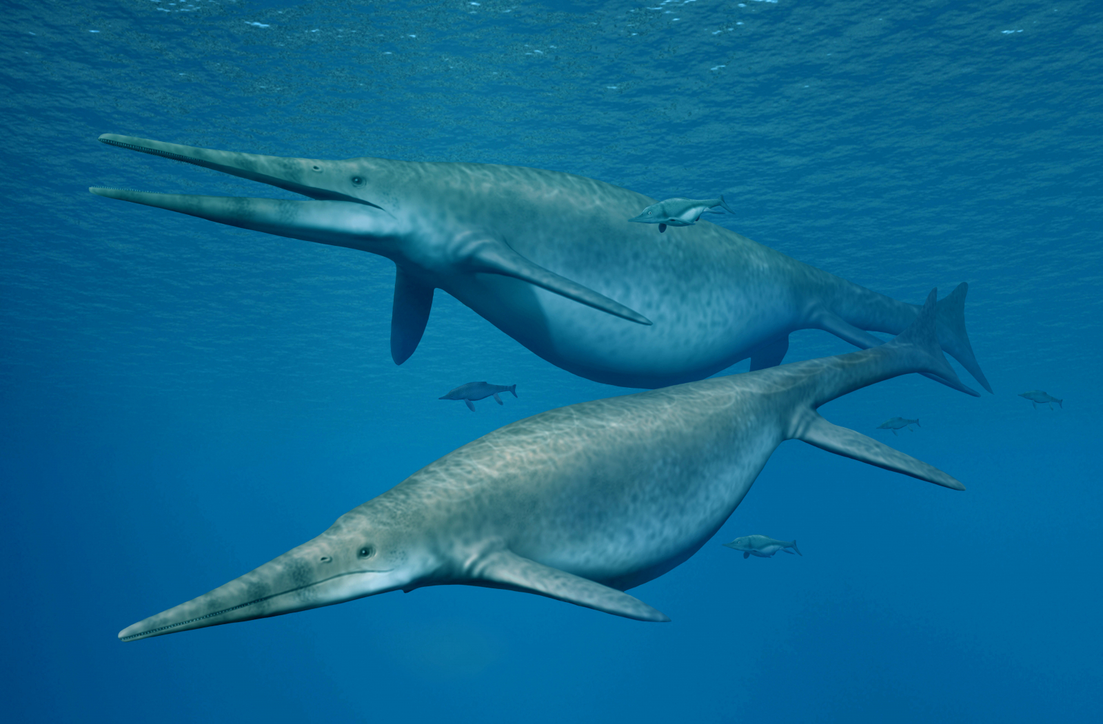 Lilstock Ichthyosaur: 205-Milion-year-old large sea creature's jaw bone