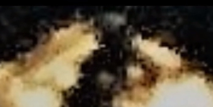 alien inside UFO alien inside UFO
