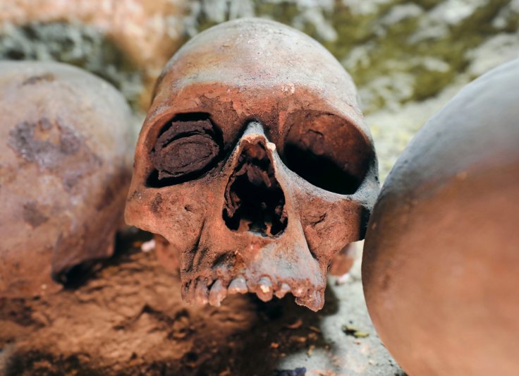 Skulls are seen inside the recently discovered burial site in Minya