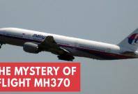 mh370-malaysia-airlines-flight-investigators-say-captain-crashed-plane-in-murder-suicide