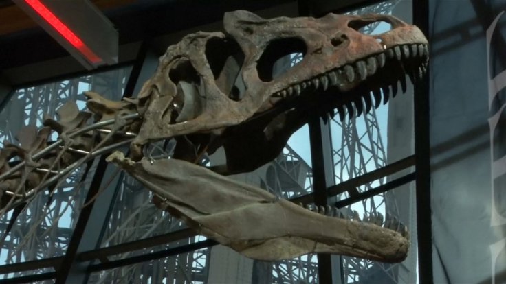 mystery-dinosaur-skeleton-sold-for-2-3-million