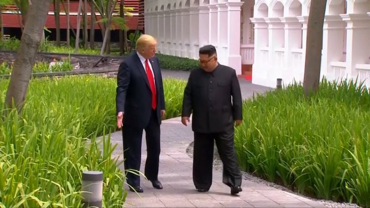 trump-appears-to-show-kim-jong-un-some-grass