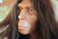 five-surprising-facts-about-human-evolution