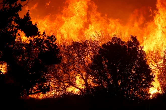 California's Pilot  fire: At least 6,298  acres of forest have been destroyed in wildfire in  the San Bernardino National Forest in Southern California.