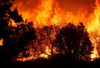 California's Pilot  fire: At least 6,298  acres of forest have been destroyed in wildfire in  the San Bernardino National Forest in Southern California.