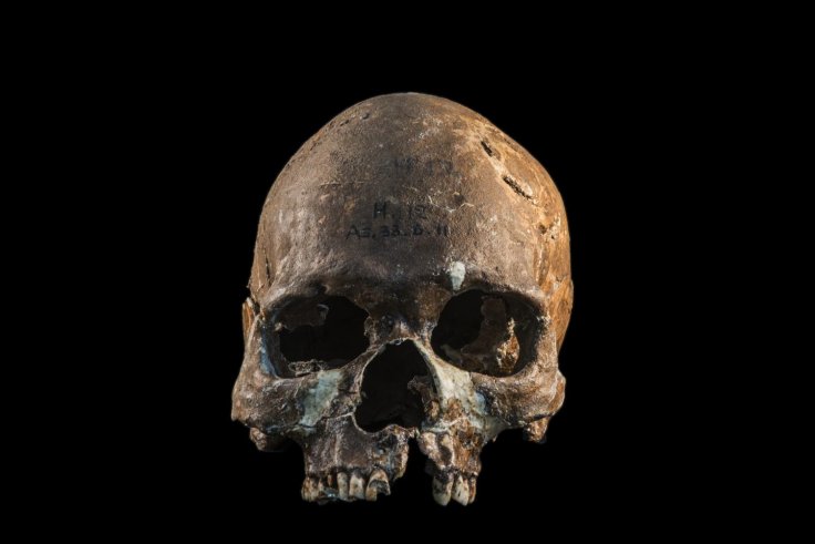Skull from a Hòabìnhian person from Gua Cha archaeological site, Malaysian Peninsula.