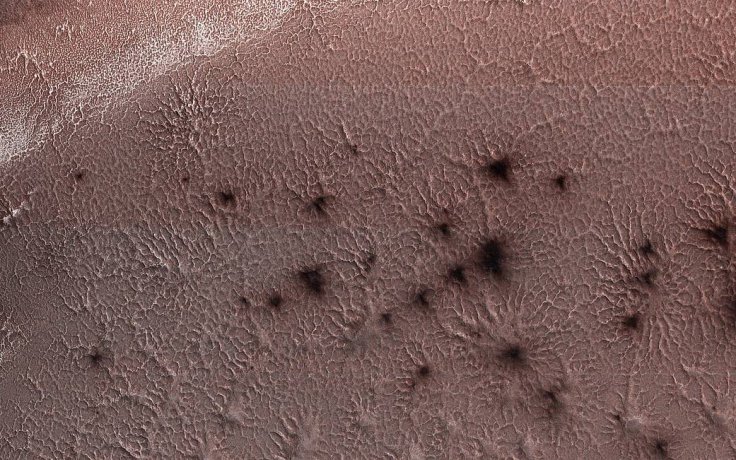 Spider on Mars 