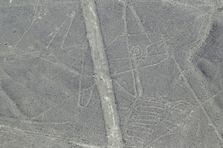 An aerial view of the Whale Nazca Lines 