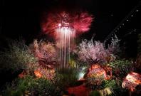 SGF 2018 Fantasy Garden Best of Show, Gold and Horticulture excellence- African Thunder by Leon Kluge