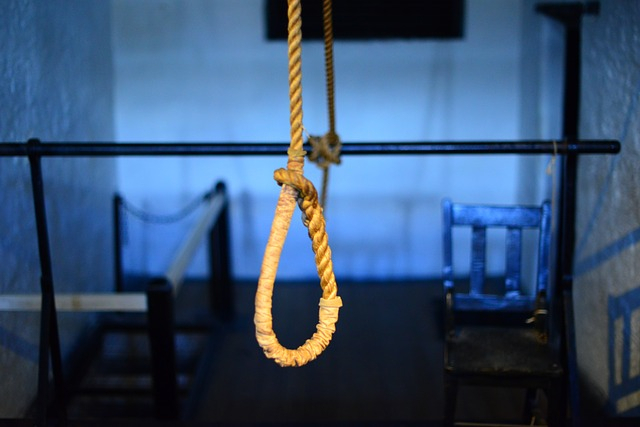 hanging from a rope hanging from a rope