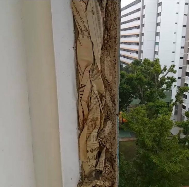 Screenshot of a video showing pieces of old newspaper stuffed in the walls of a balcony at an HDB flat. 