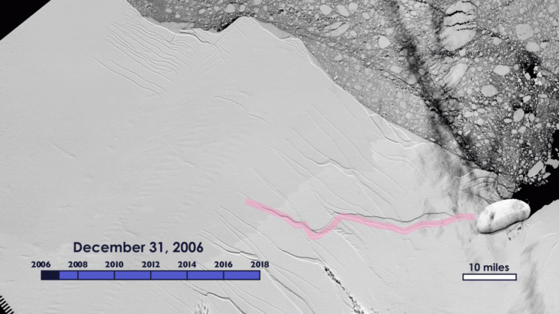 Animation of the growth of the crack in the Larsen C ice shelf, from 2006 to 2017, as recorded by NASA/USGS Landsat satellites.