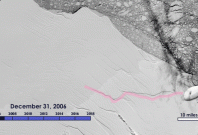 Animation of the growth of the crack in the Larsen C ice shelf, from 2006 to 2017, as recorded by NASA/USGS Landsat satellites.