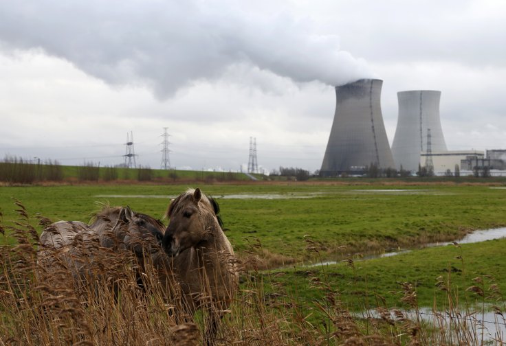 Nuclear plant of Electrabel, in Doel Nuclear plant of Electrabel, in Doel