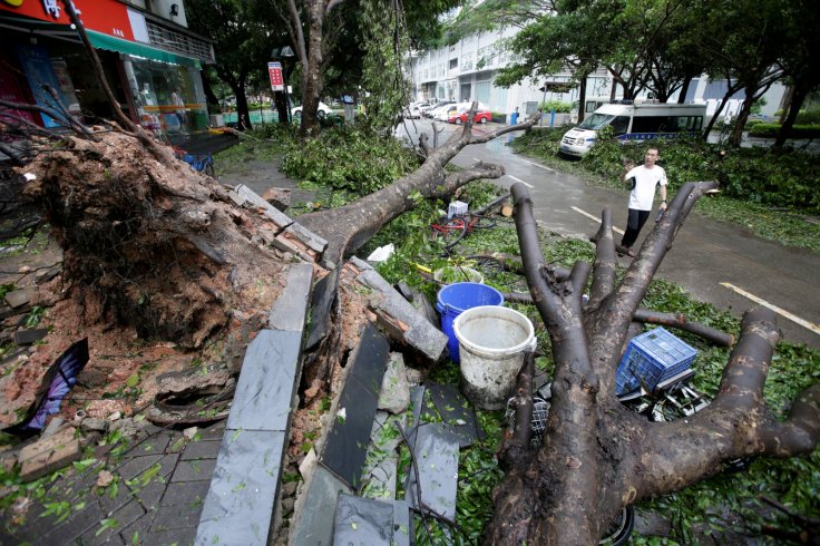 A man walks past uprooted trees on a damaged street after Typhoon Mangkhut hit Shenzhen, Guangdong province, China September 17, 2018. REUTERS/Jason Lee TPX