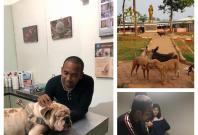 Kristian Adi Wibowo, Animals Hope Shelter Kristian Adi Wibowo, Animals Hope Shelter