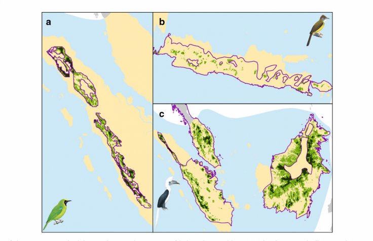 Illustration of the mapping methodologies showing the impacts of habitat loss and hunting. Graphic: NUS