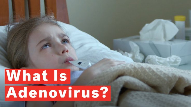 what-is-adenovirus what-is-adenovirus