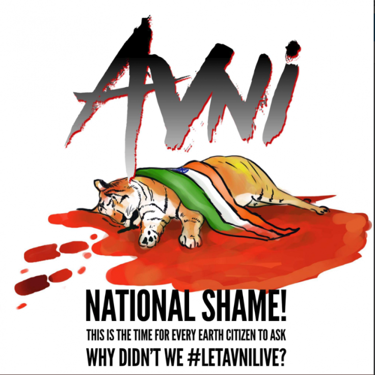 Avni Avni