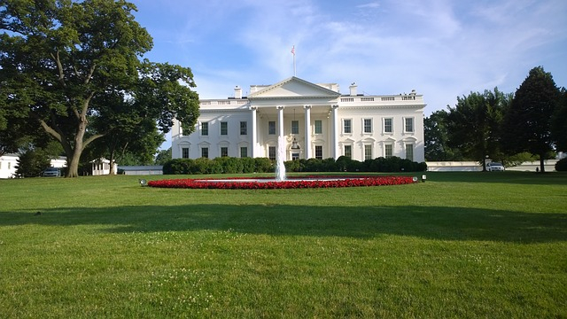 White House 