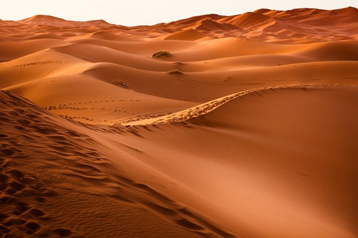 desert flooding desert flooding