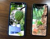 Apple iPhone XS Max (left) placed beside the iPhone XR (right).