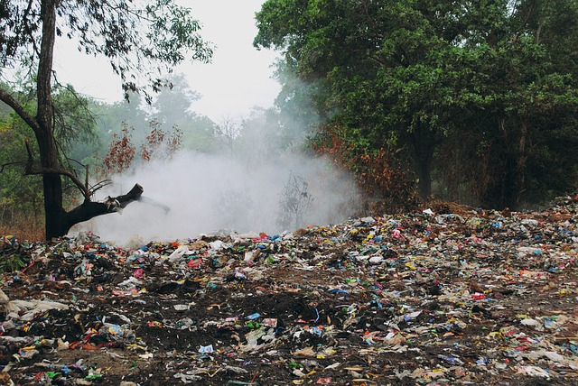 Soil pollution 