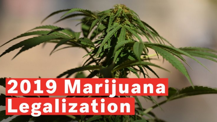 u-s-states-that-could-legalize-marijuana-in-2019 u-s-states-that-could-legalize-marijuana-in-2019