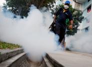 Zika virus cases in Singapore reaches up to 215