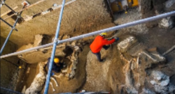 Pompeii excavation 
