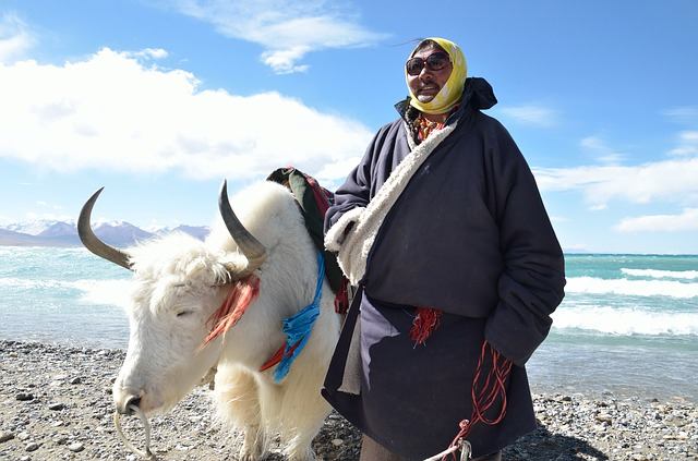 Yak Yak