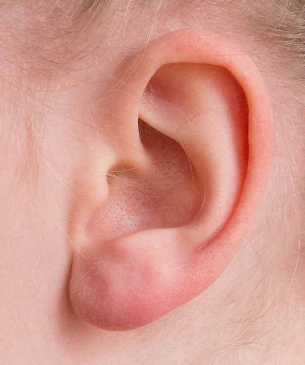 Human Ear