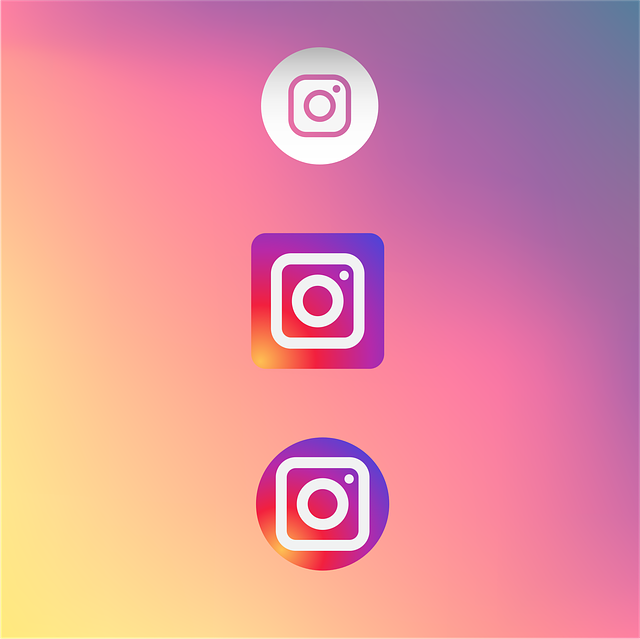 instagram logo