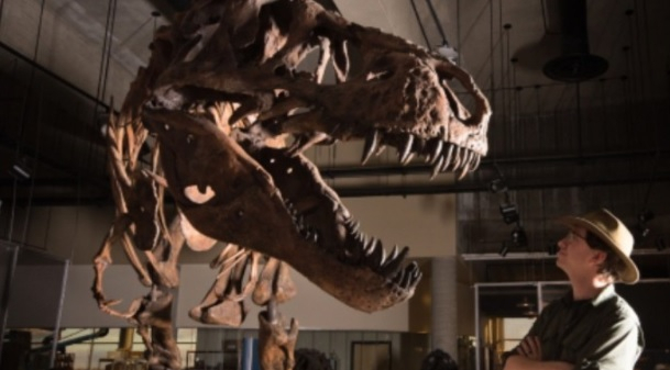 T Rex T Rex