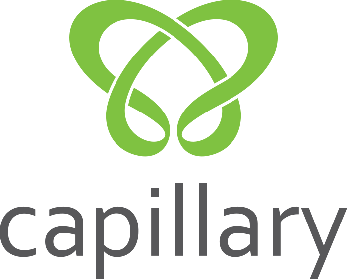 Capillary