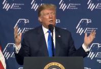 trump-says-asylum-seekers-look-like-they-should-be-fighting-for-the-ufc trump-says-asylum-seekers-look-like-they-should-be-fighting-for-the-ufc