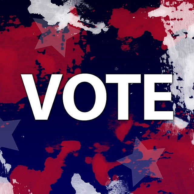 Election Election
