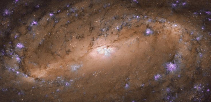 Spiral galaxy