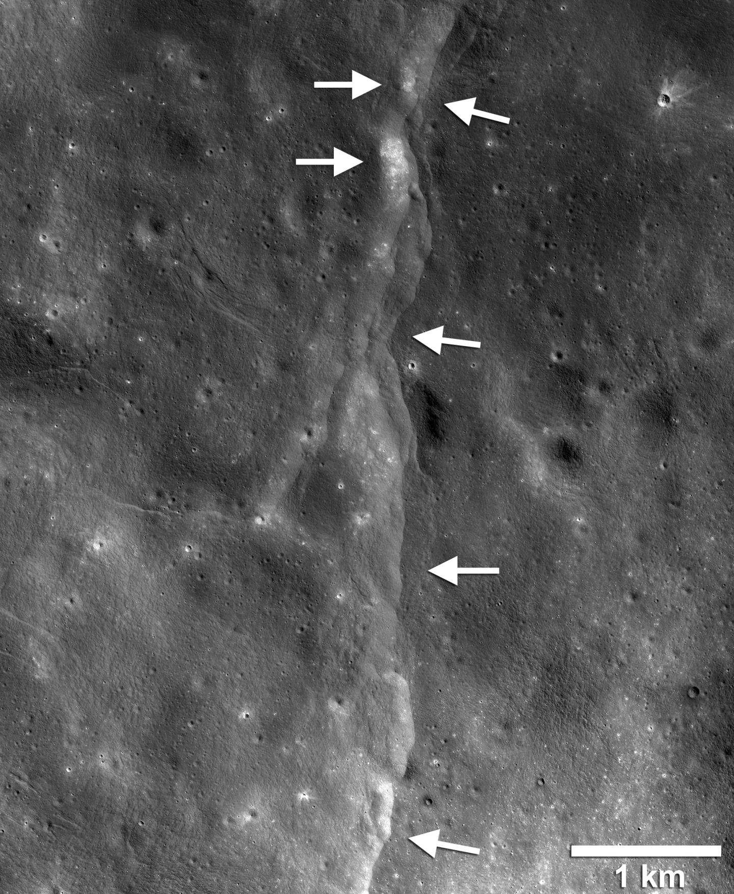 is-moon-shrinking-tectonically-active-quakes-reflect-truth-says-new-study